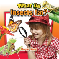 What_Do_Insects_Eat_