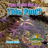 What_Do_You_Find_In_A_Tide_Pool_