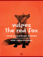 Vulpes__the_Red_Fox