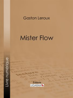 Mister_Flow