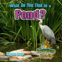 What_Do_You_Find_In_A_Pond_