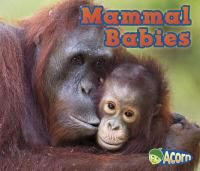 Mammal_babies