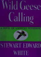 Wild_Geese_Calling
