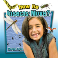 How_Do_Insects_Move_